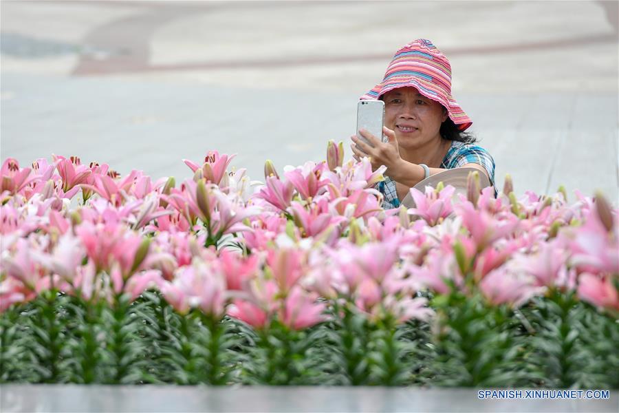 CHINA-JILIN-AZUCENAS
