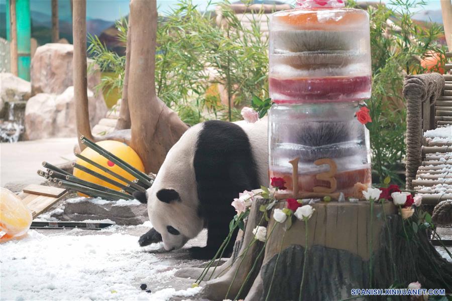 CHINA-HEILONGJIANG-PANDA-CUMPLEAÑOS