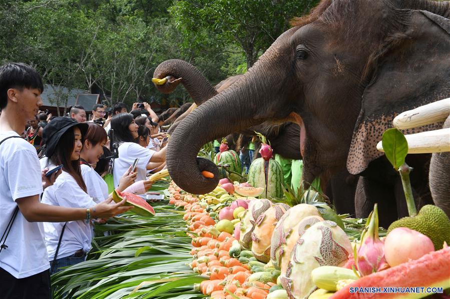 CHINA-YUNNAN-DIA DEL ELEFANTE