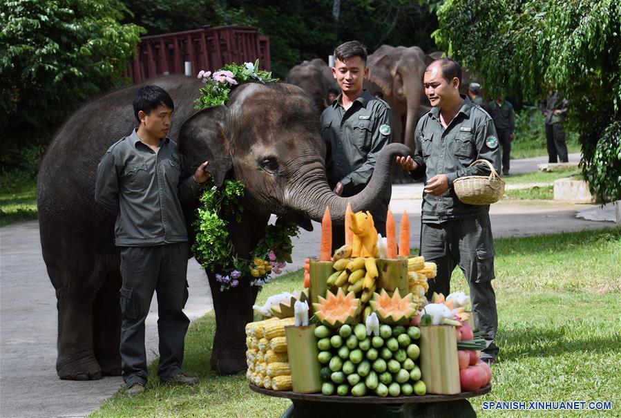 CHINA-YUNNAN-DIA DEL ELEFANTE