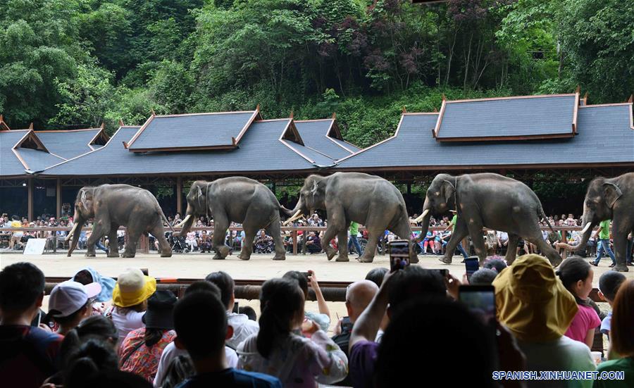 CHINA-YUNNAN-DIA DEL ELEFANTE