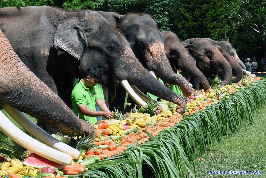 CHINA-YUNNAN-DIA DEL ELEFANTE
