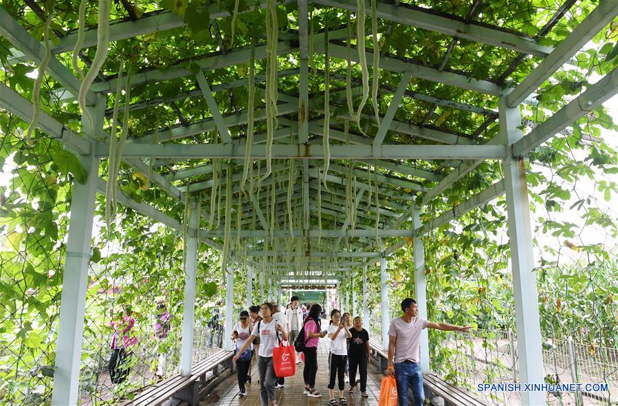 CHINA-JILIN-EXPOSICION DE AGRICULTURA