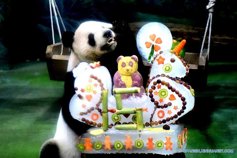CHINA-TAIPEI-PANDAS GIGANTES-CUMPLEAÑOS