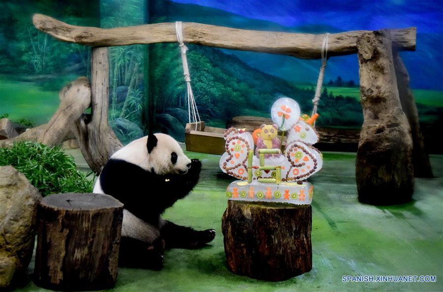 CHINA-TAIPEI-PANDAS GIGANTES-CUMPLEAÑOS