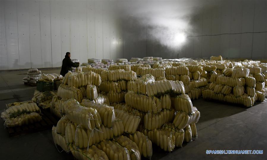 CHINA-HAINAN-PRODUCTOS AGRICOLAS-ABASTO