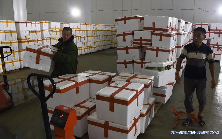 CHINA-HAINAN-PRODUCTOS AGRICOLAS-ABASTO