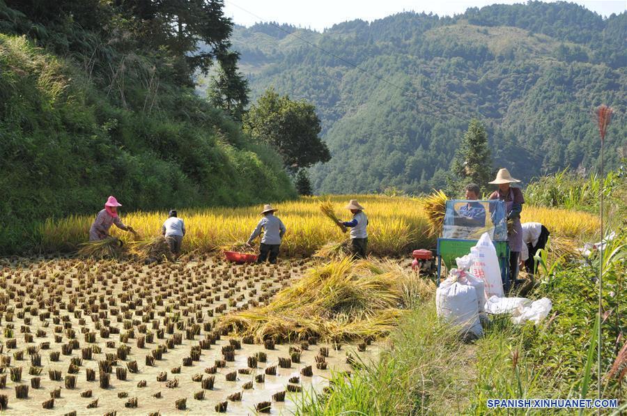 CHINA-GUIZHOU-FESTIVAL DE LA COSECHA-CELEBRACION 