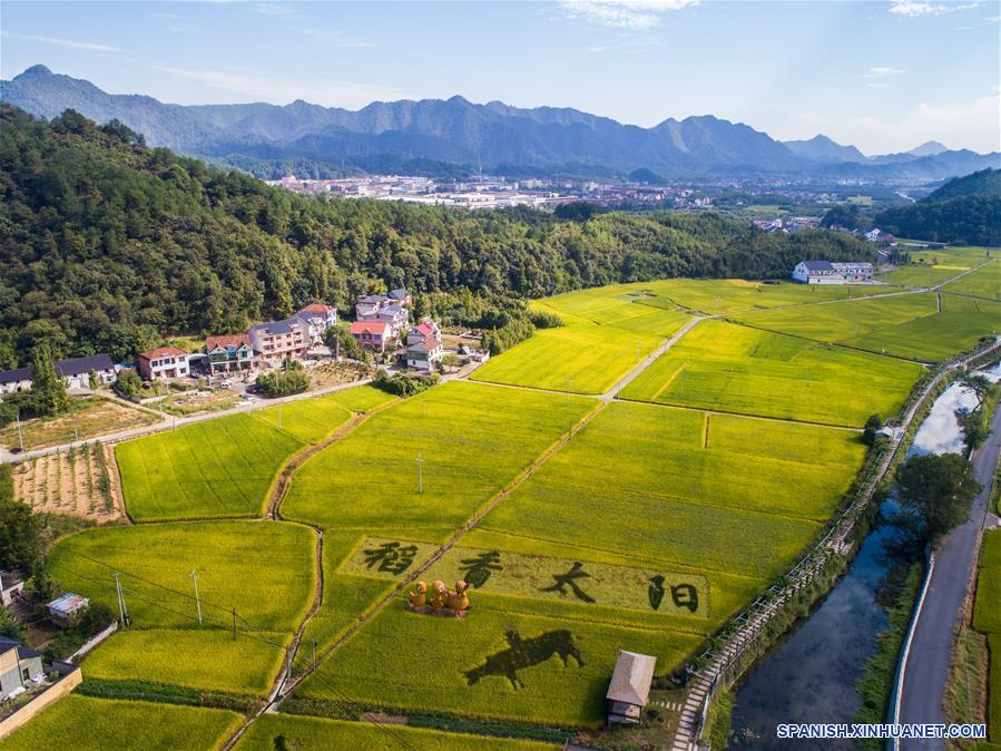 CHINA-ZHEJIANG-ARROZ-COSECHA