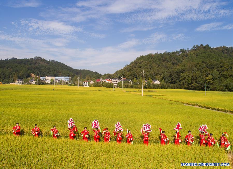 CHINA-ZHEJIANG-ARROZ-COSECHA