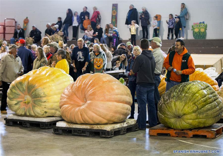 CANADA-ONTARIO-CALABAZAS GIGANTES