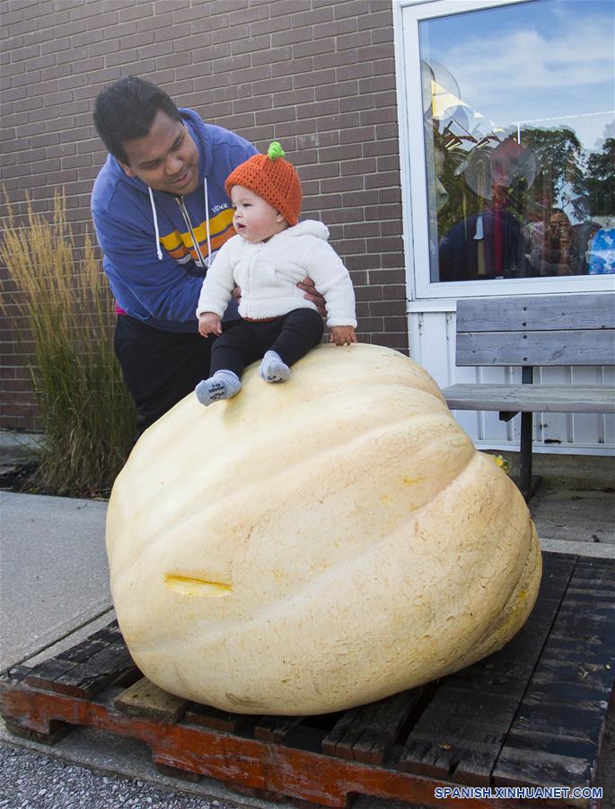 CANADA-ONTARIO-CALABAZAS GIGANTES 