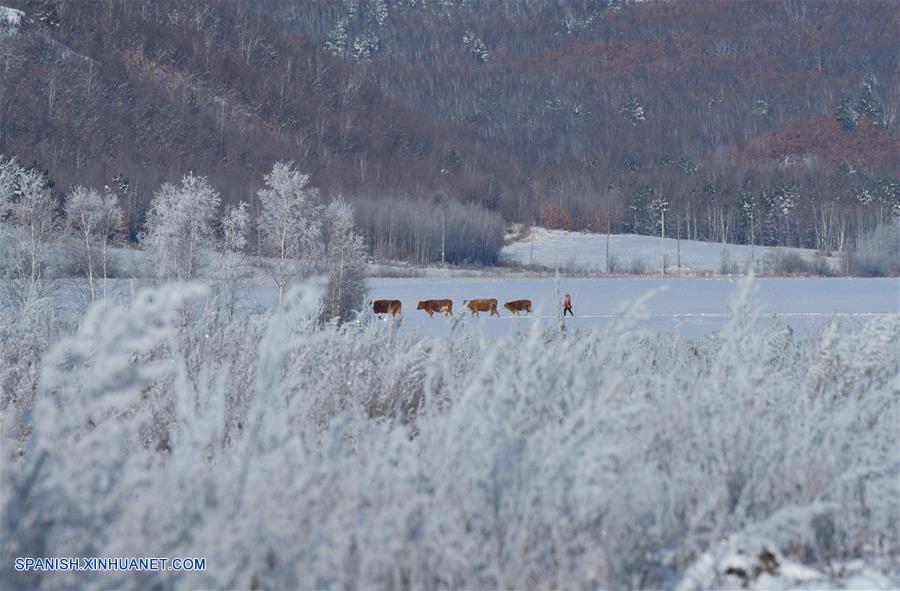 CHINA-HEILONGJIANG-HUMA-ESCARCHA