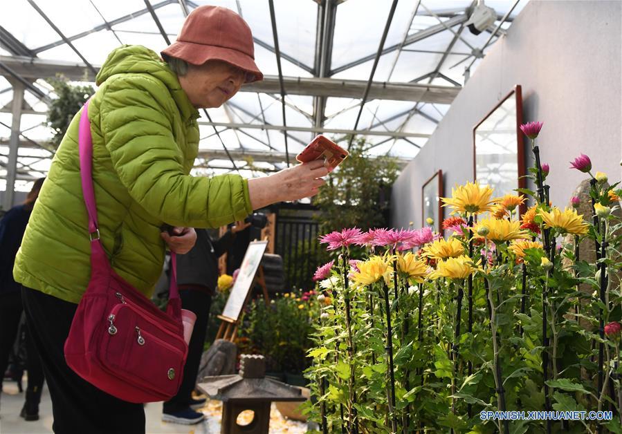 CHINA-BEIJING-CRISANTEMO-EXHIBICION