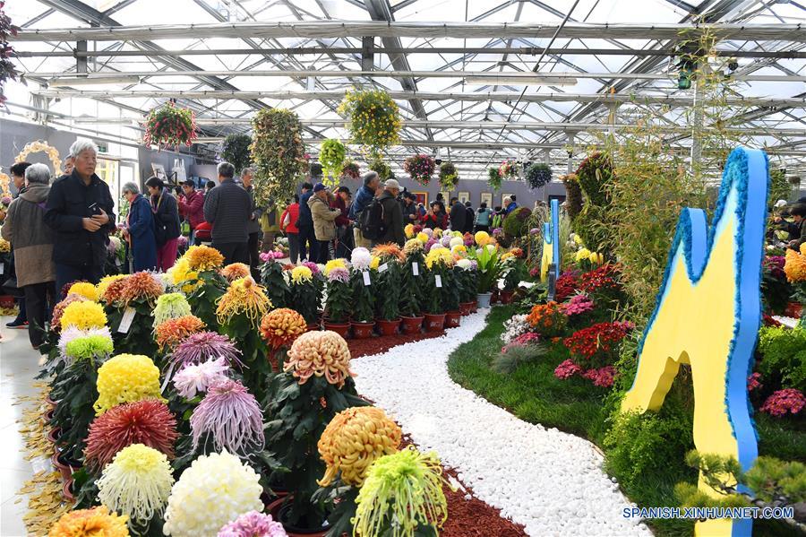 CHINA-BEIJING-CRISANTEMO-EXHIBICION