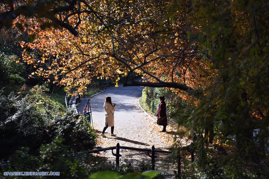 EEUU-NUEVA YORK-PAISAJE DE OTOÑO