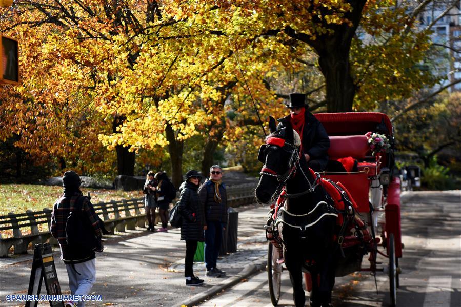 EEUU-NUEVA YORK-PAISAJE DE OTOÑO