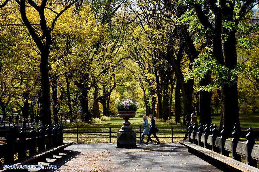 EEUU-NUEVA YORK-PAISAJE DE OTOÑO