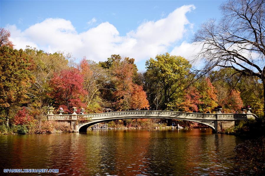 EEUU-NUEVA YORK-PAISAJE DE OTOÑO