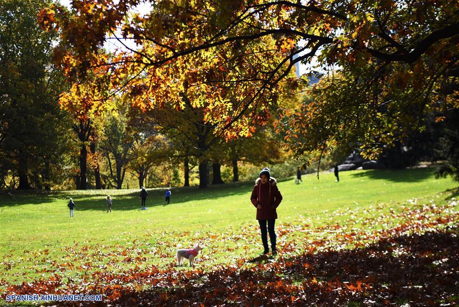 EEUU-NUEVA YORK-PAISAJE DE OTOÑO