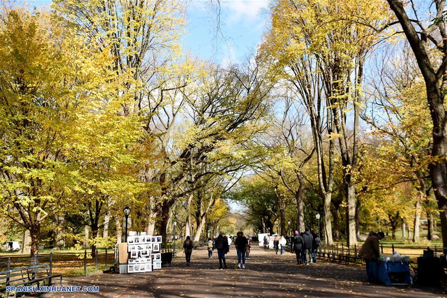 EEUU-NUEVA YORK-PAISAJE DE OTOÑO