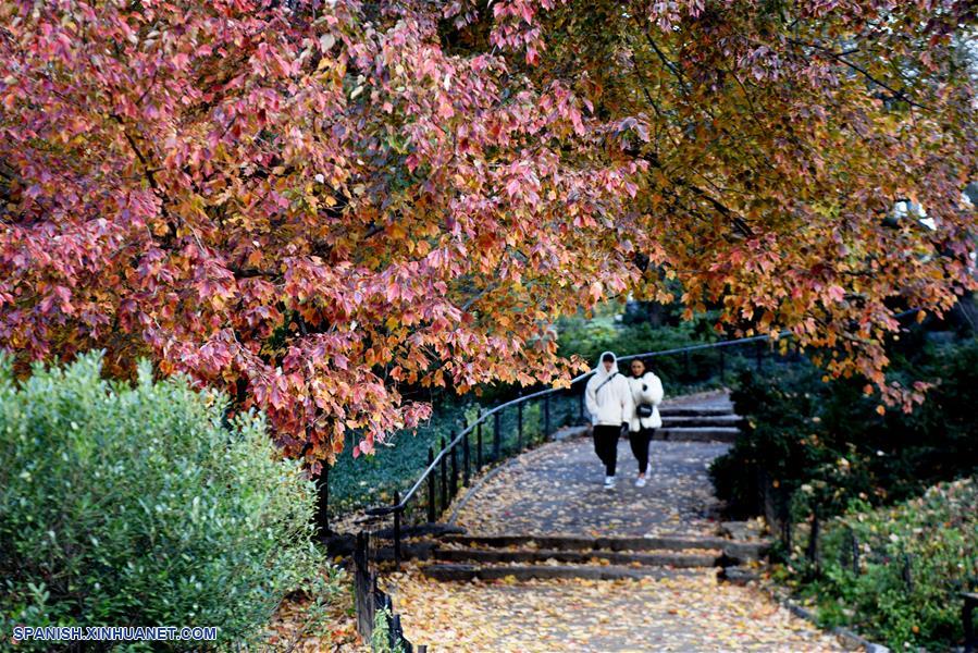 EEUU-NUEVA YORK-PAISAJE DE OTOÑO