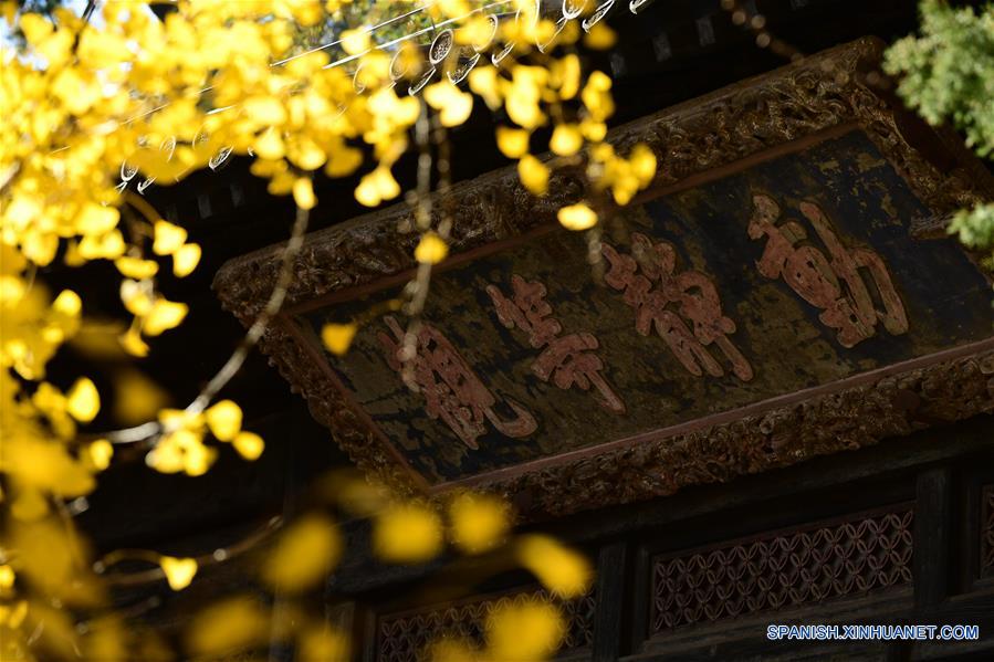 CHINA-BEIJING-TEMPLO DAJUE-GINKGO 