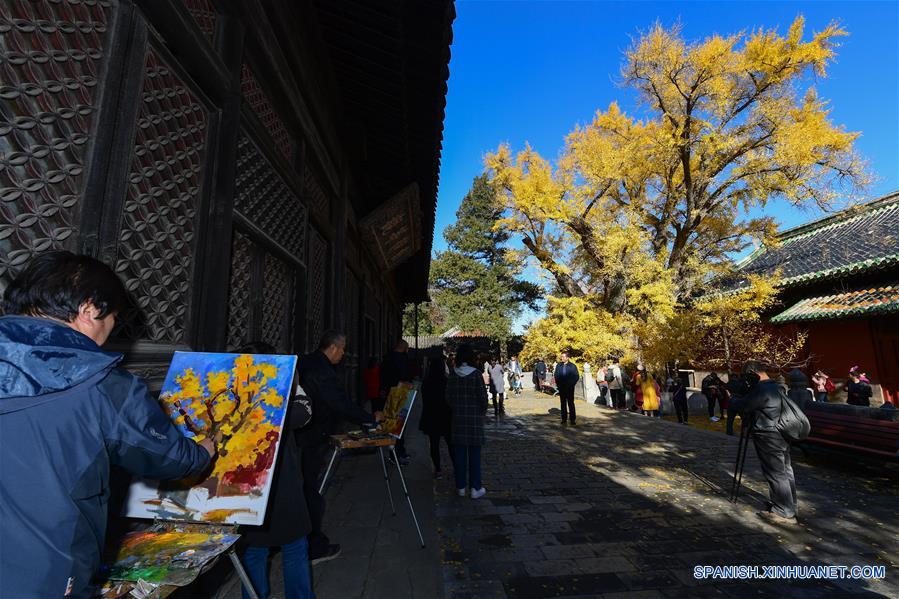 CHINA-BEIJING-TEMPLO DAJUE-GINKGO 