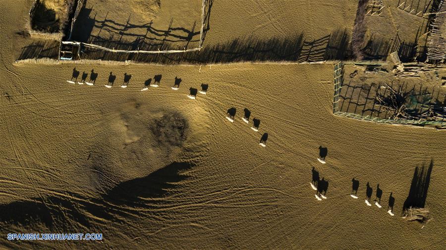 CHINA-XINJIANG-NATURALEZA-RIO KERIYA-SERIE