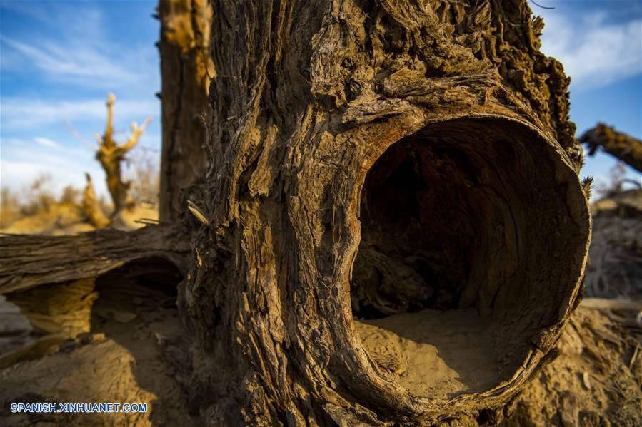 CHINA-XINJIANG-NATURALEZA-RIO KERIYA-SERIE
