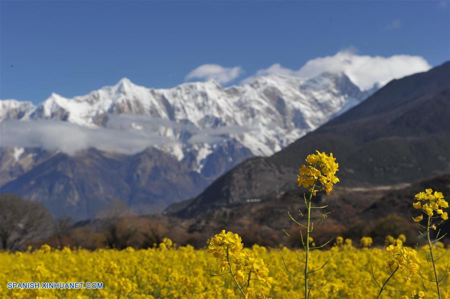 CHINA-TIBET-FLOR DE COL