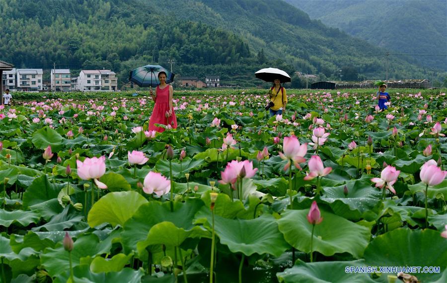 CHINA-FUJIAN-MONTA&Ntilde;A WUYI-PAISAJE