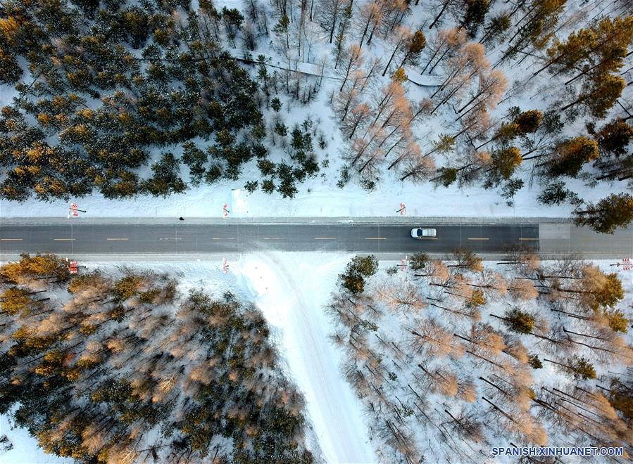 CHINA-HEILONGJIANG-MOHE-PAISAJE DE INVIERNO