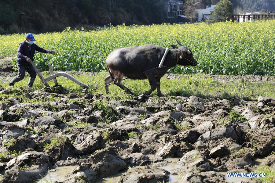 CHINA-PRIMAVERA-AGRICULTURA-SERIE