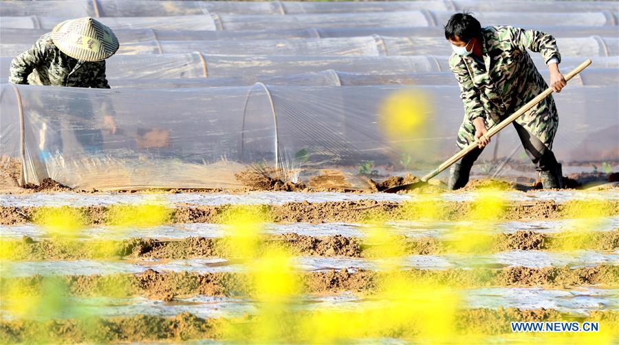 CHINA-PRIMAVERA-AGRICULTURA-SERIE