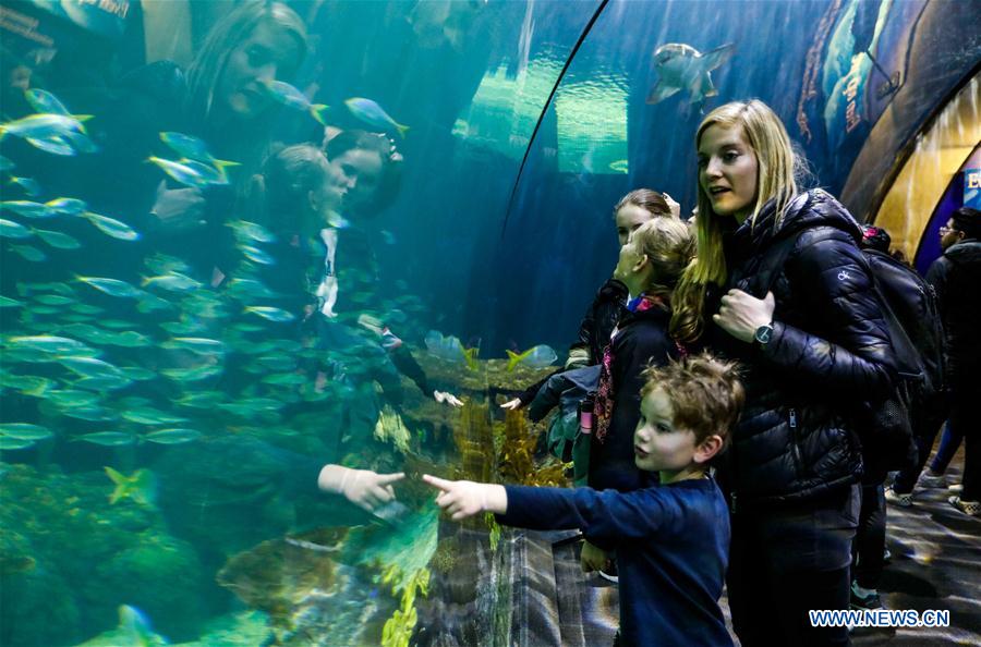 EEUU-CHICAGO-ACUARIO SHEDD