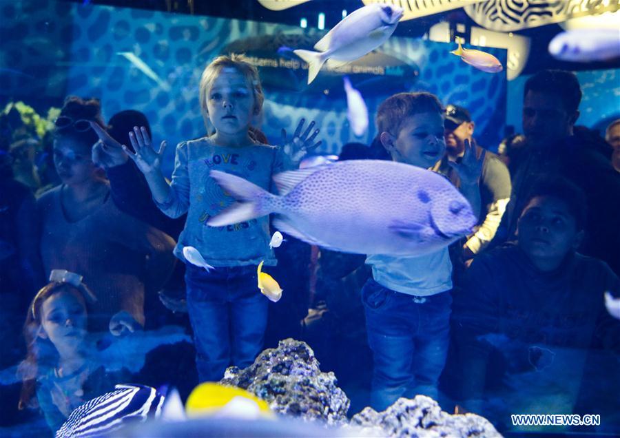 EEUU-CHICAGO-ACUARIO SHEDD