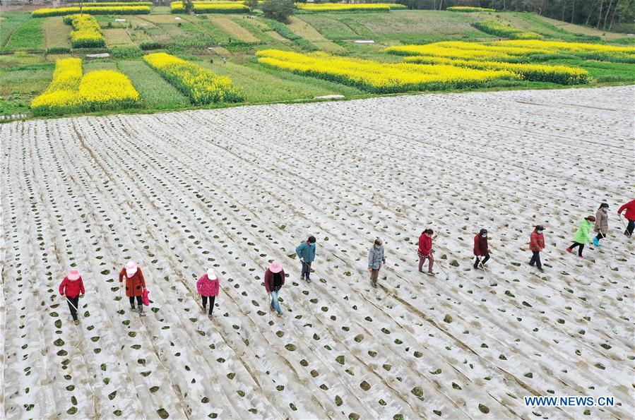 CHINA-PRIMAVERA-AGRICULTURA