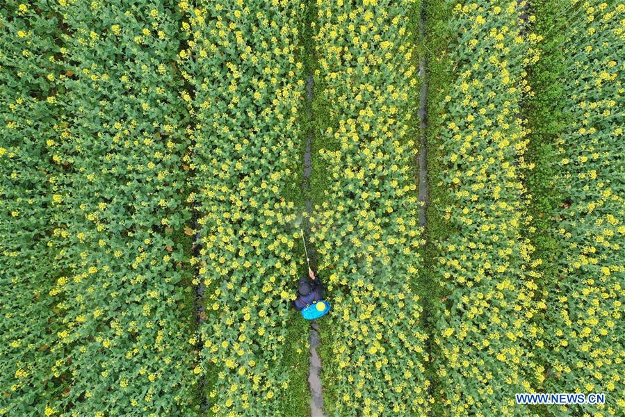 CHINA-PRIMAVERA-AGRICULTURA