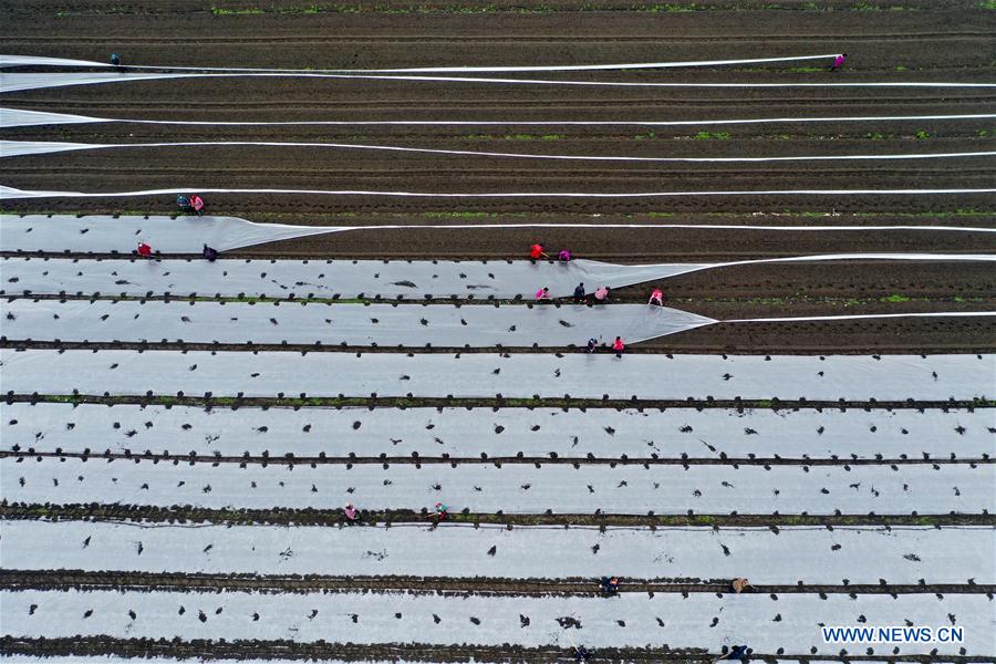 CHINA-PRIMAVERA-AGRICULTURA