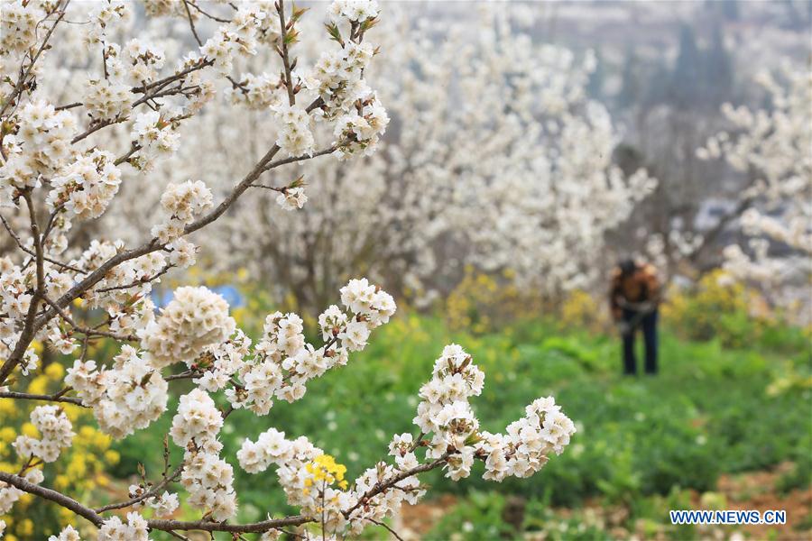 CHINA-PRIMAVERA-AGRICULTURA