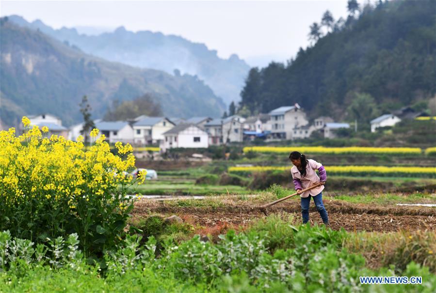 CHINA-GUIZHOU-PRIMAVERA-AGRICULTURA