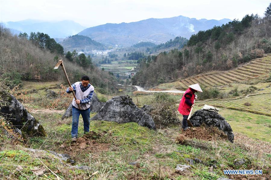 CHINA-GUIZHOU-PRIMAVERA-AGRICULTURA