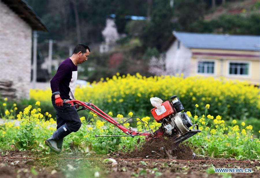 CHINA-GUIZHOU-PRIMAVERA-AGRICULTURA