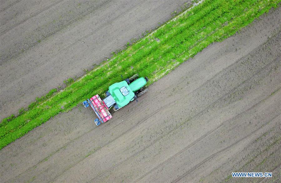 CHINA-GUIZHOU-PRIMAVERA-AGRICULTURA