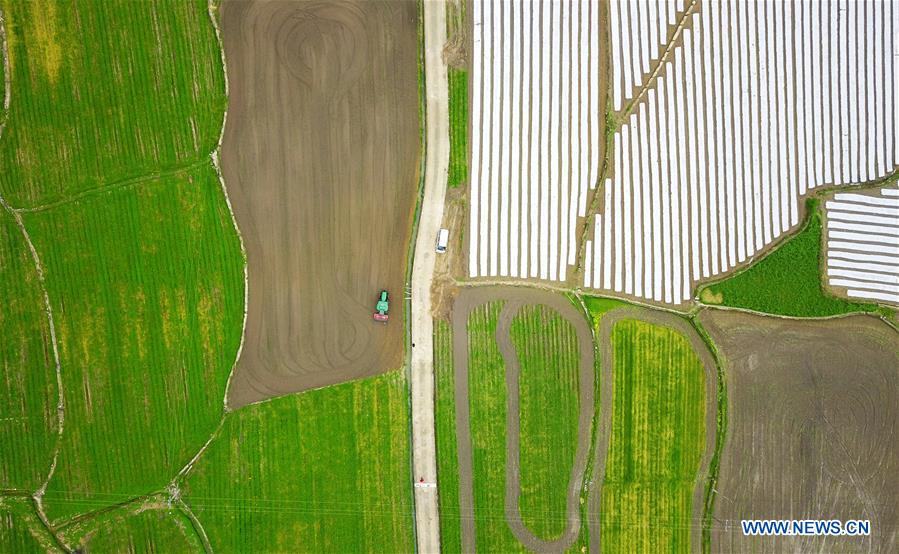 CHINA-GUIZHOU-PRIMAVERA-AGRICULTURA