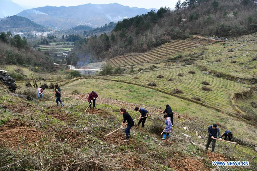 CHINA-GUIZHOU-PRIMAVERA-AGRICULTURA