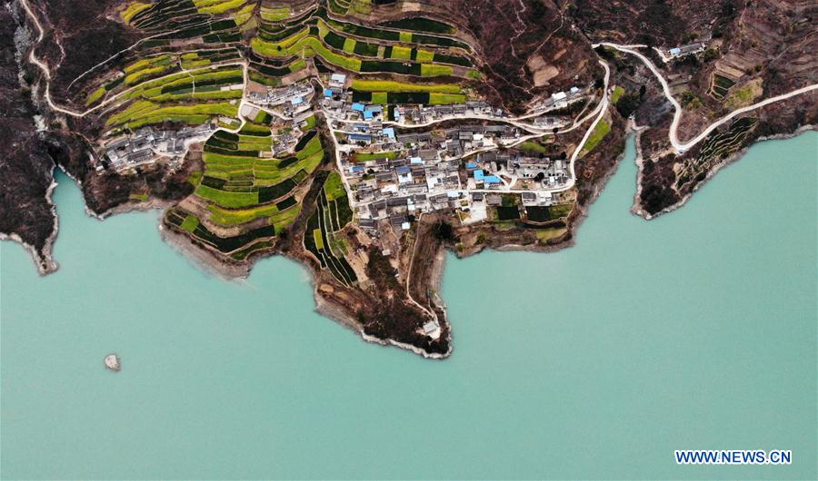 CHINA-GANSU-CAMPOS DE FLORES DE COL