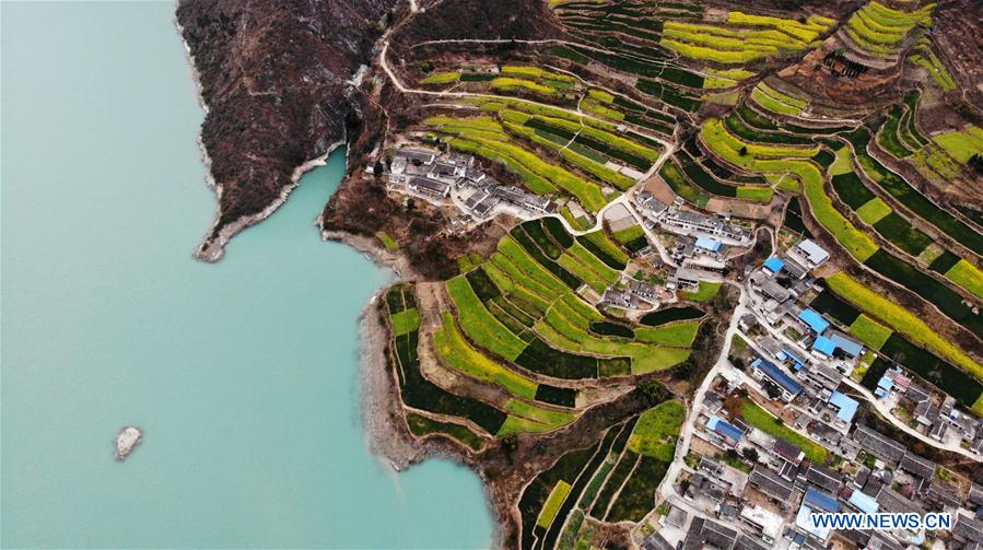 CHINA-GANSU-CAMPOS DE FLORES DE COL
