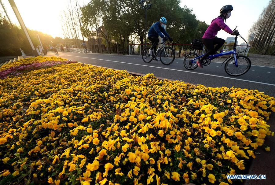 CHINA-SHANGHAI-PRIMAVERA